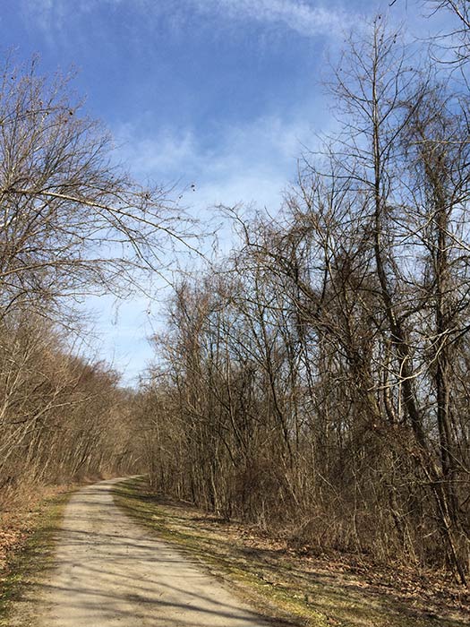 Bike trail outside West Newton