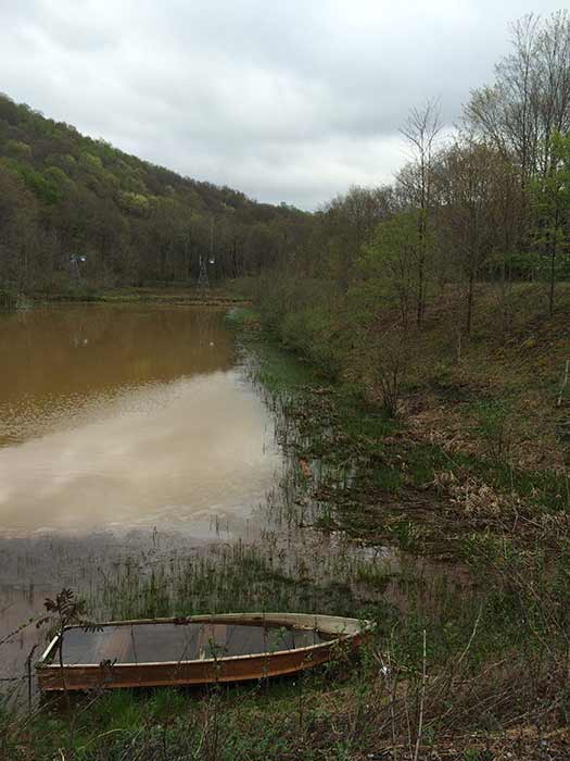 ICV Trail Settling Ponds